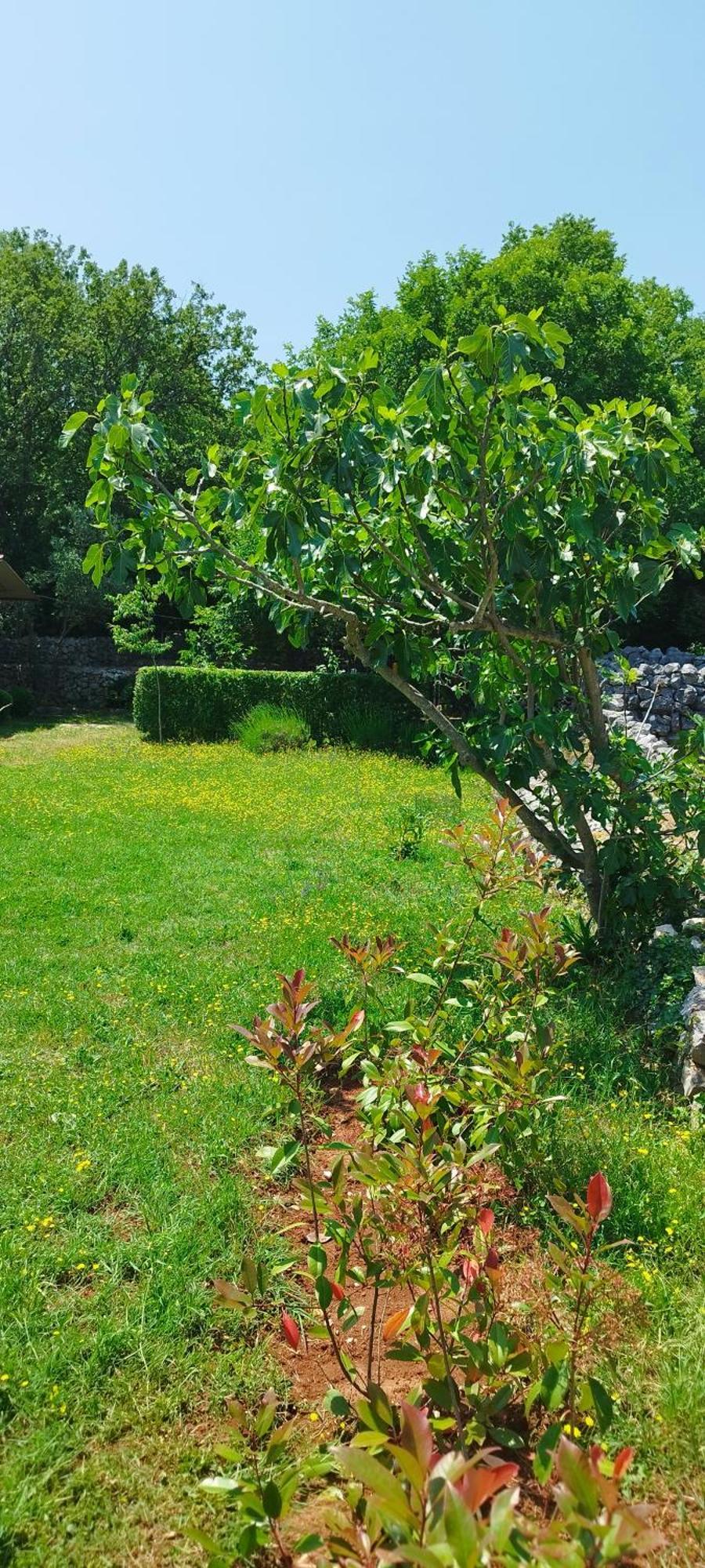 Holiday home House Vela Vrta *
